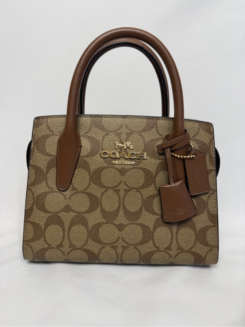 Coach Andrea Carryall in Signature Canvas